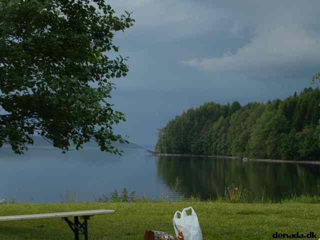 * Image 210