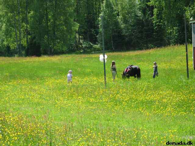 * Image 19