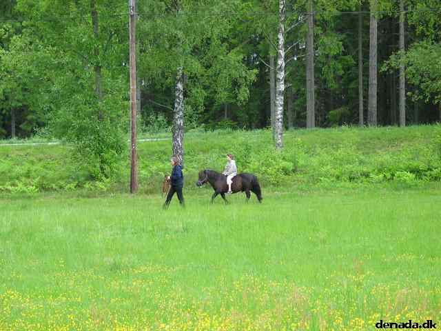 * Image 130