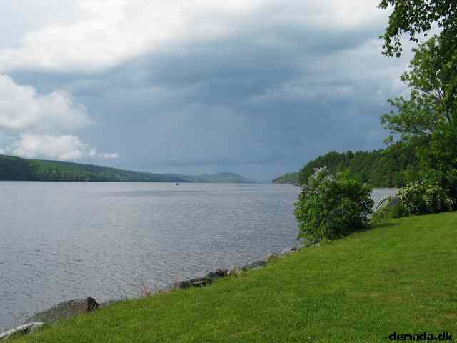 * Image 141