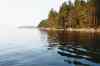 imm008.jpg - 