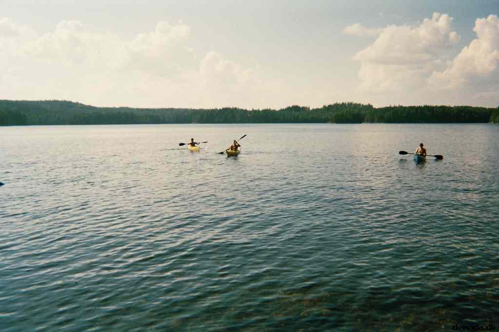 * Image 3