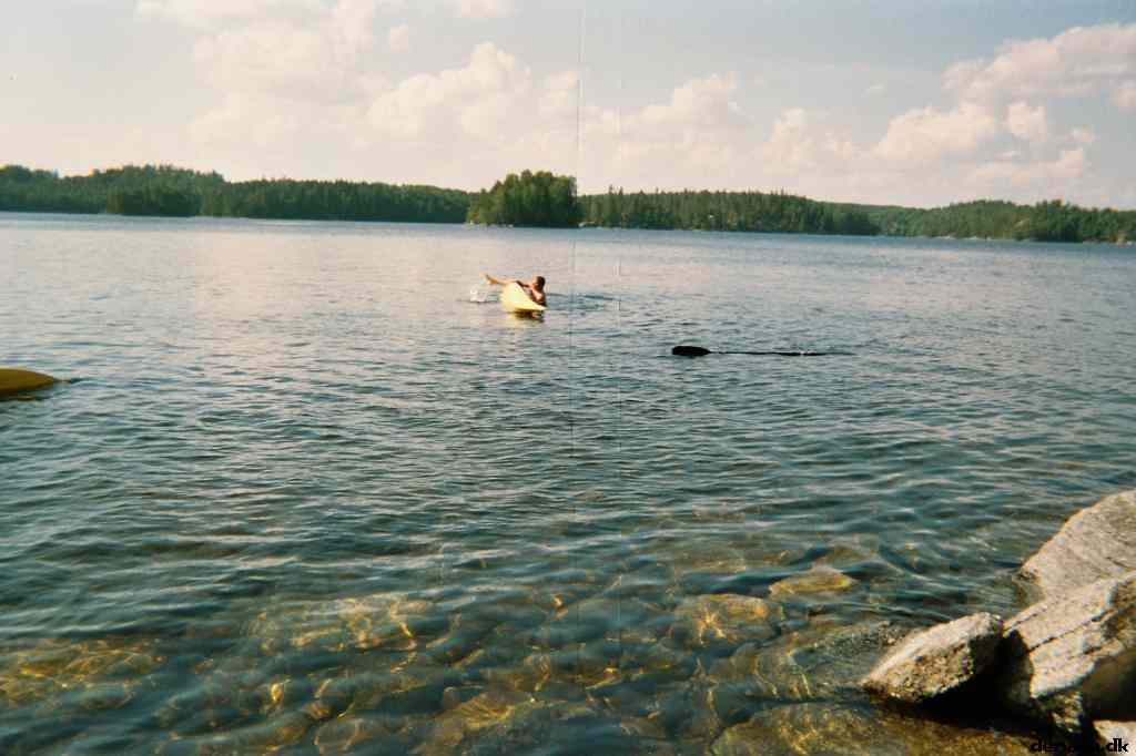 * Image 7