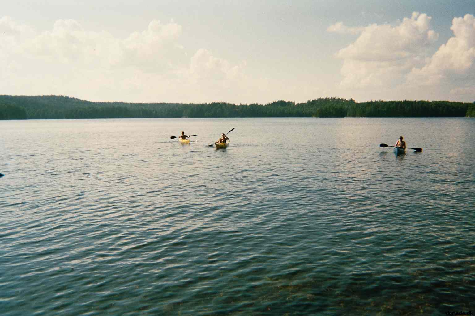 * Image 3