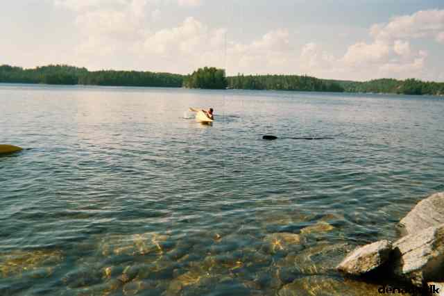 * Image 7