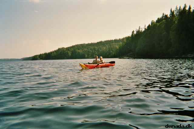 * Image 19