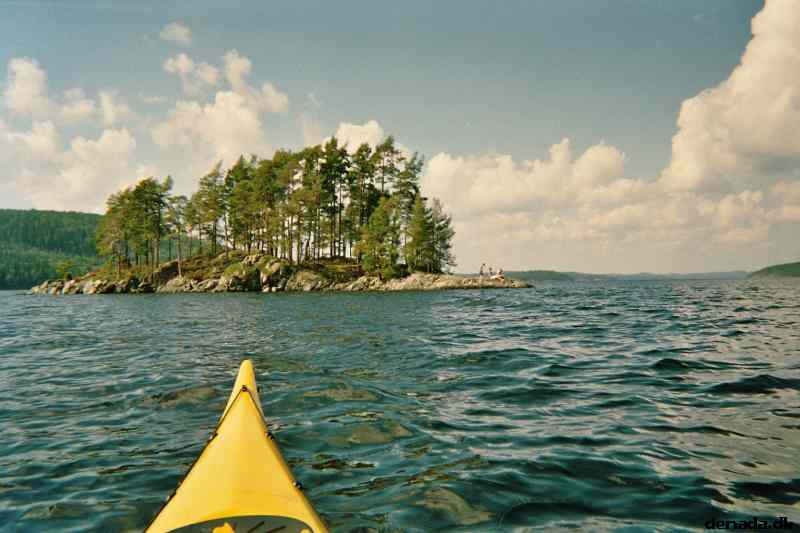* Image 1