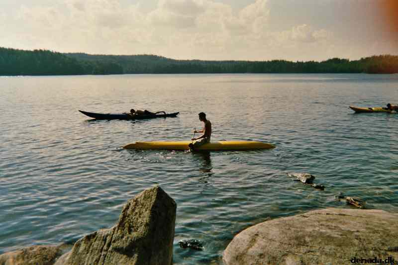 * Image 6
