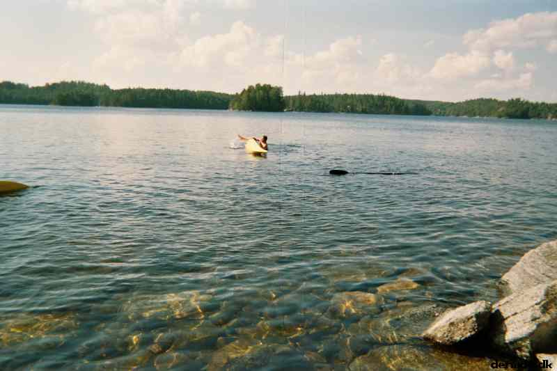 * Image 7