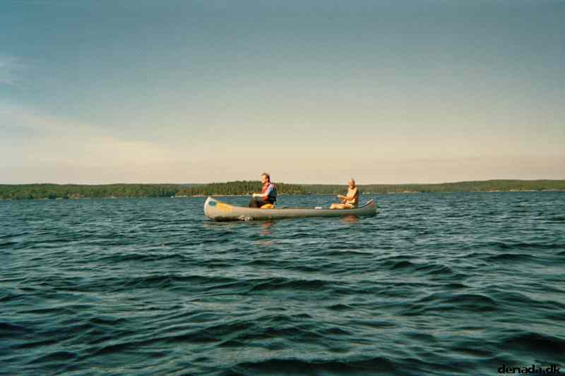 * Image 14
