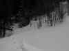2004_02_19-17_10_05.jpg - 2004:02:19 16:10:05