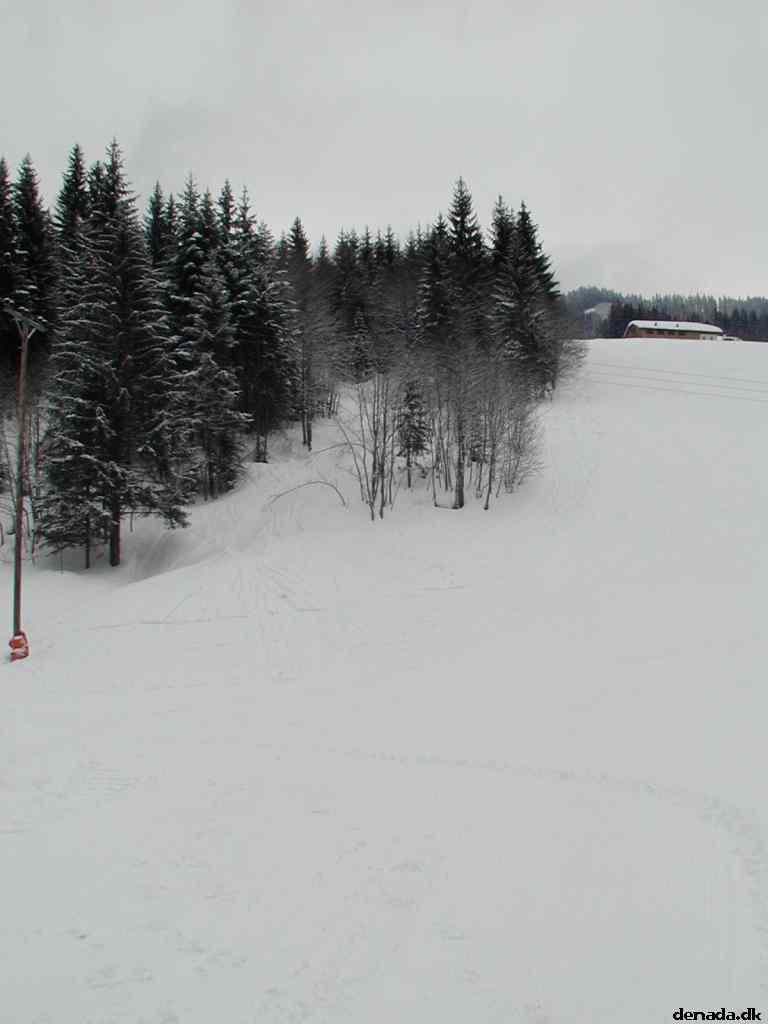 * Image 3
