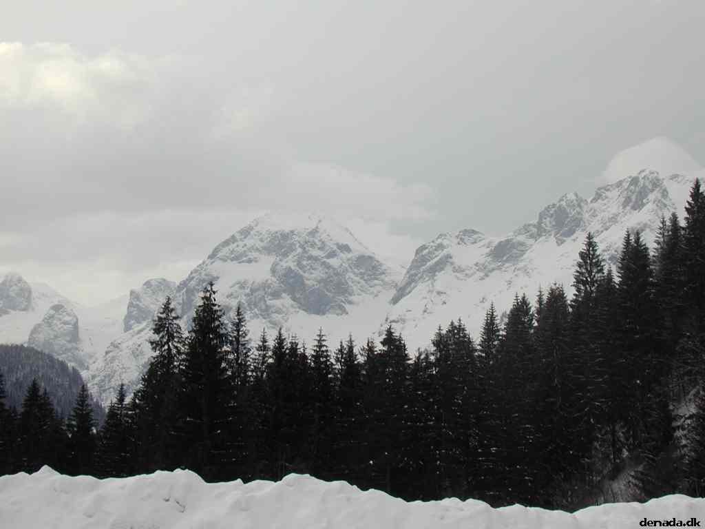 * Image 21