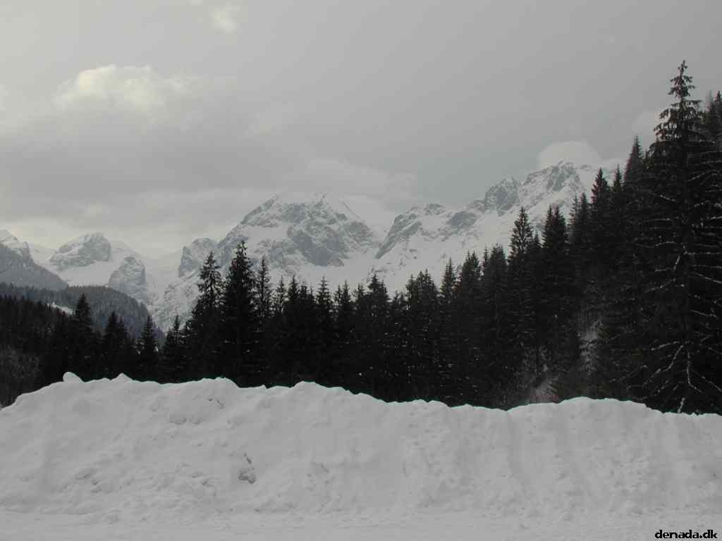 * Image 22