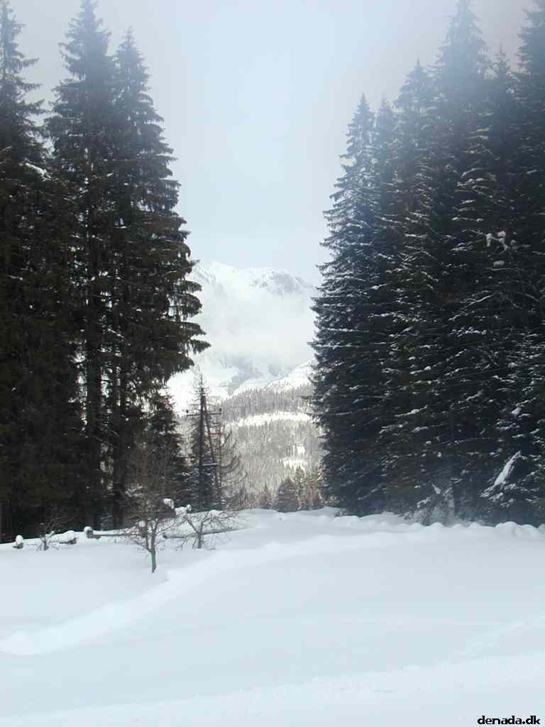 * Image 25