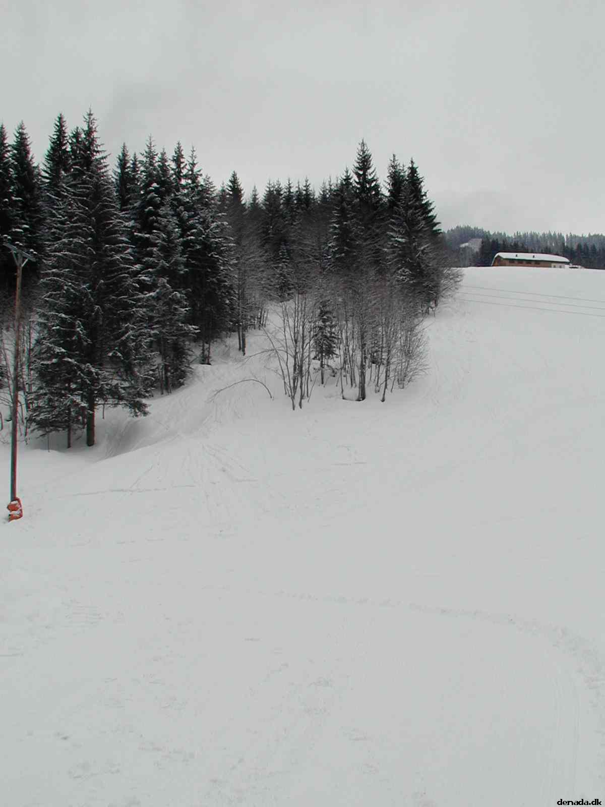 * Image 3