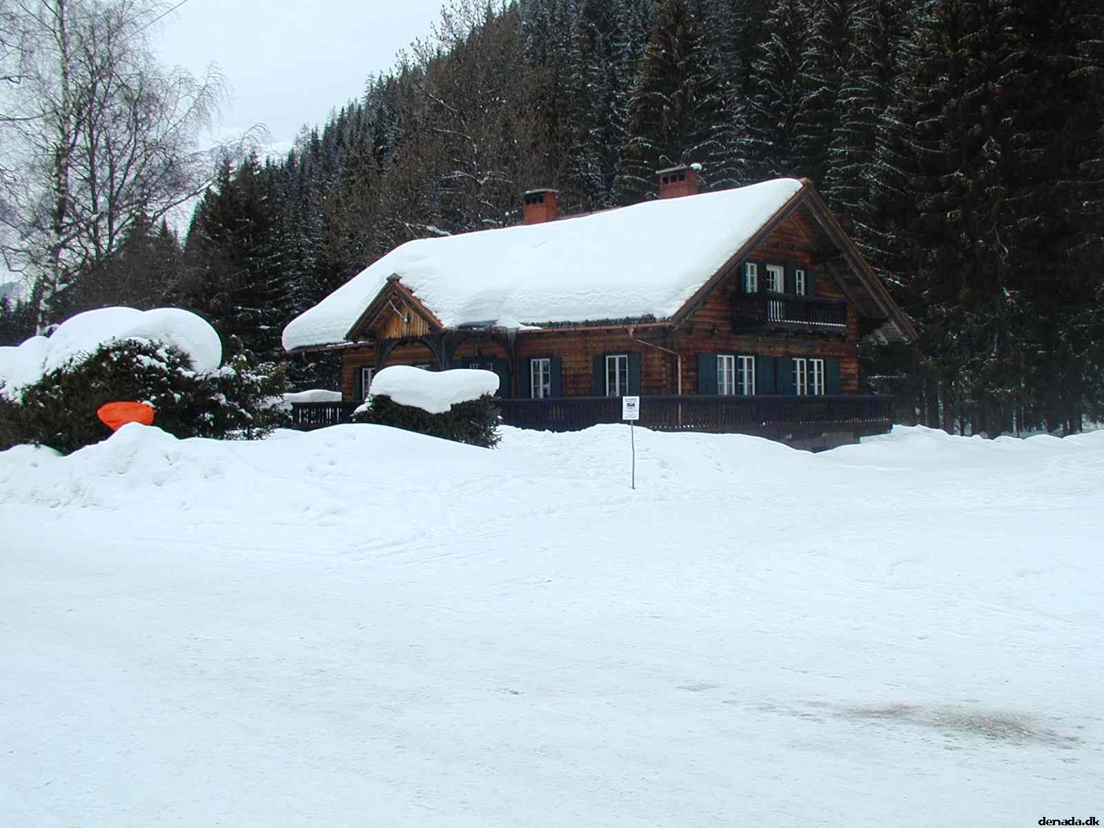 * Image 10