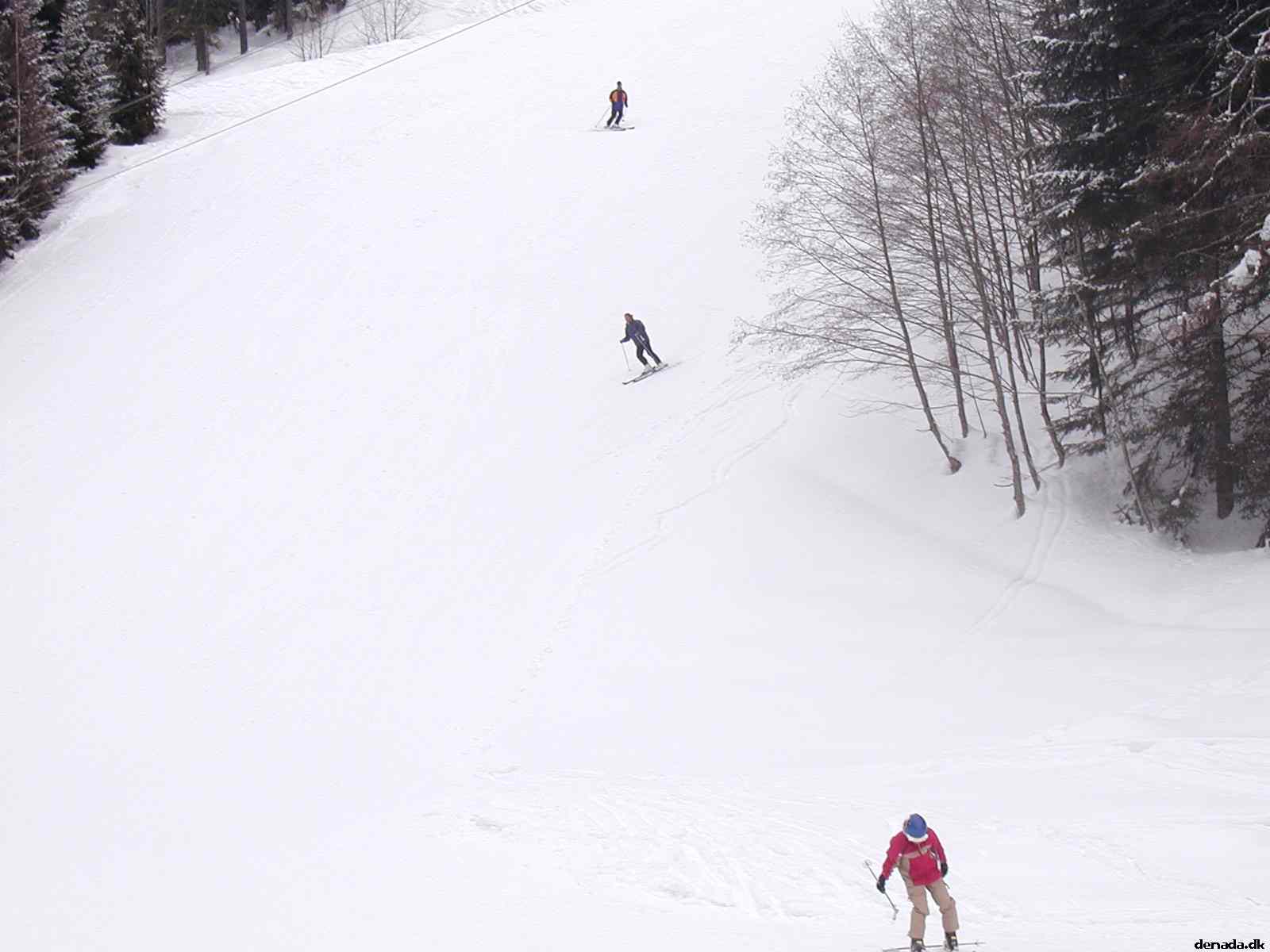 * Image 14