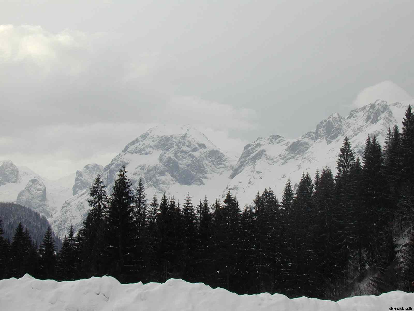* Image 21