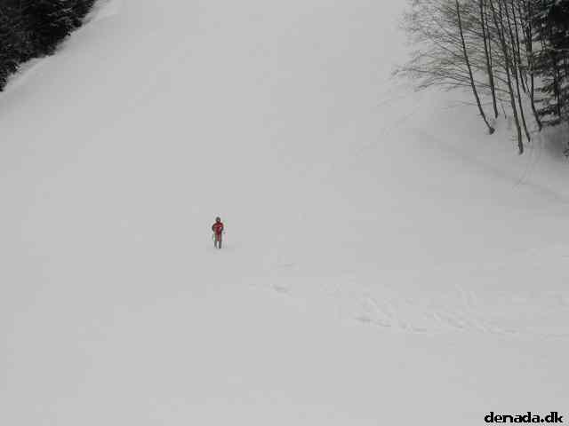 * Image 11