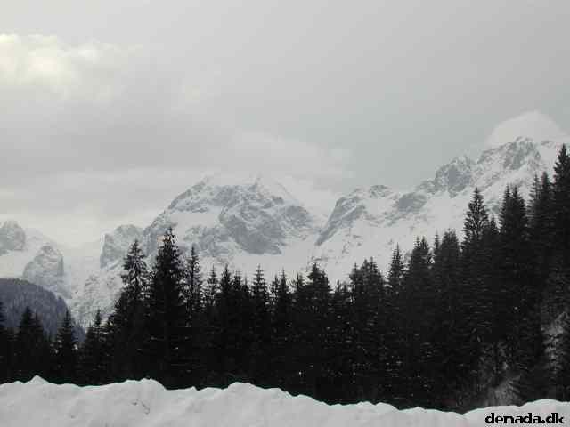 * Image 21
