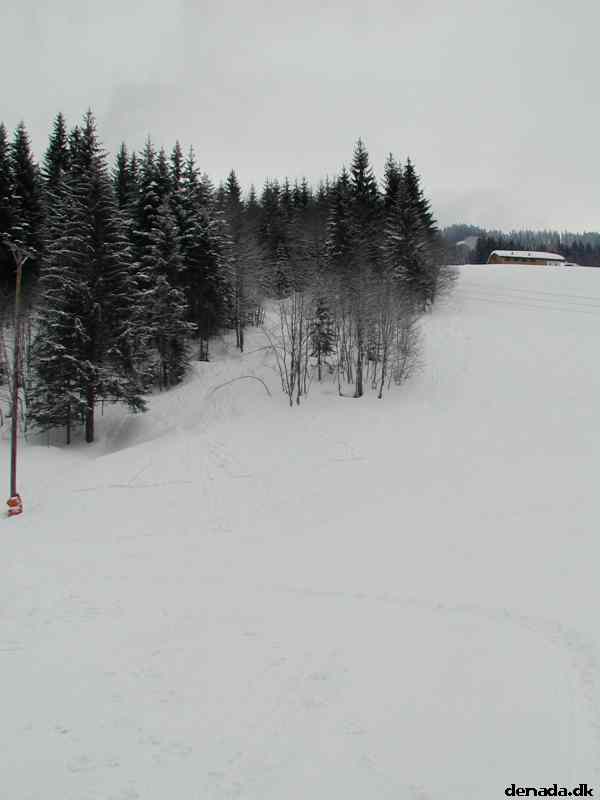 * Image 3