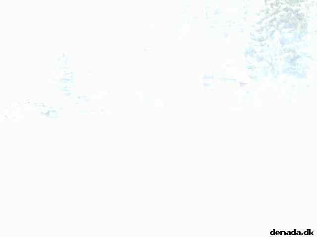 * Image 7