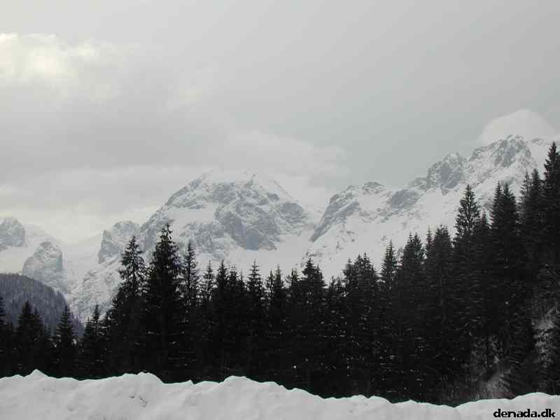 * Image 21