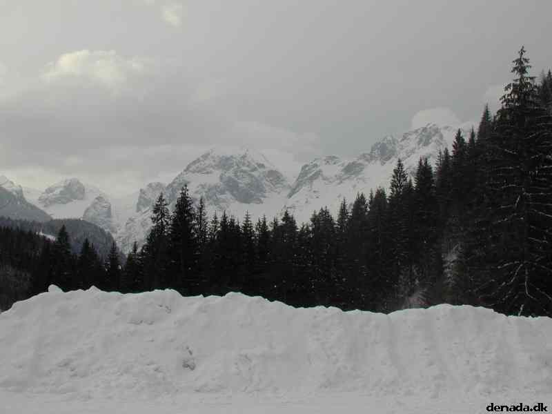 * Image 22