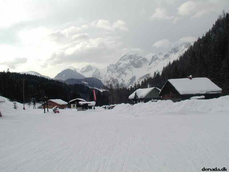 * Image 24