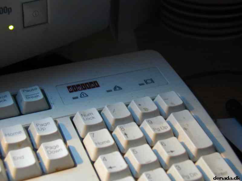 * Image 5