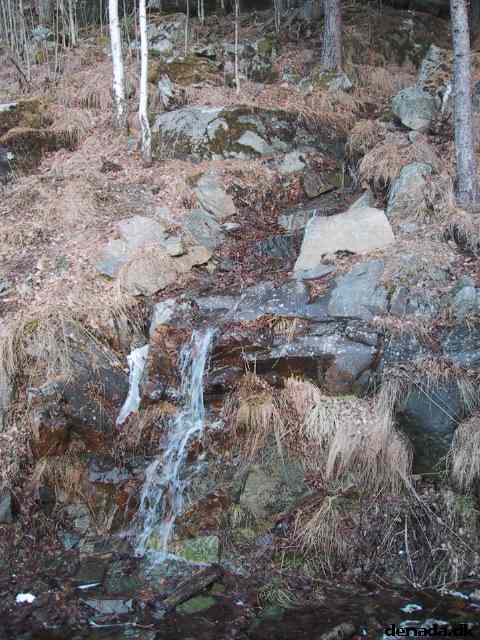 * Image 31