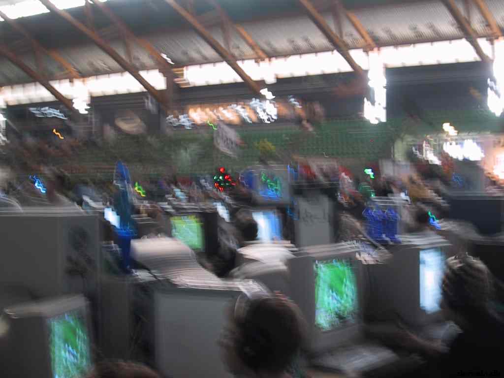 * Image 31
