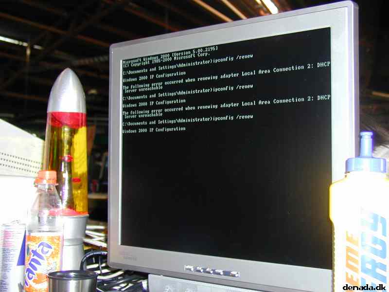 * Image 3