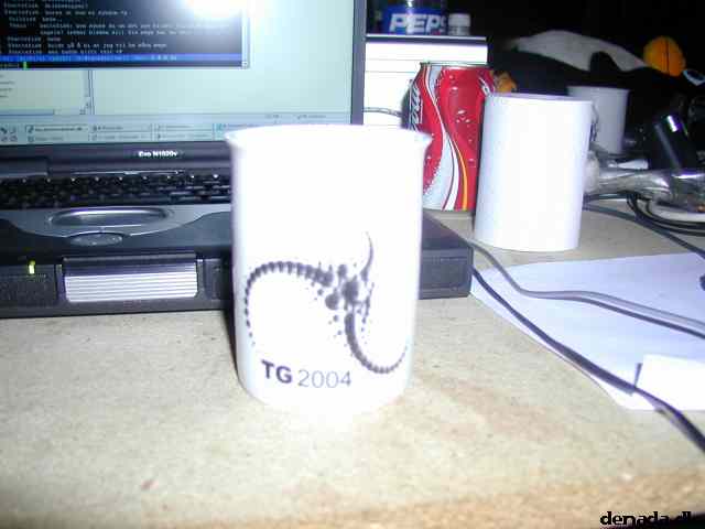 * Image 12