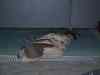 2004_04_10_17_05_57.JPG - 2004:04:10 17:05:57