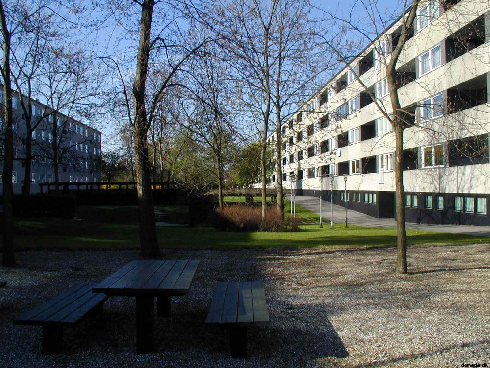 * Image 3