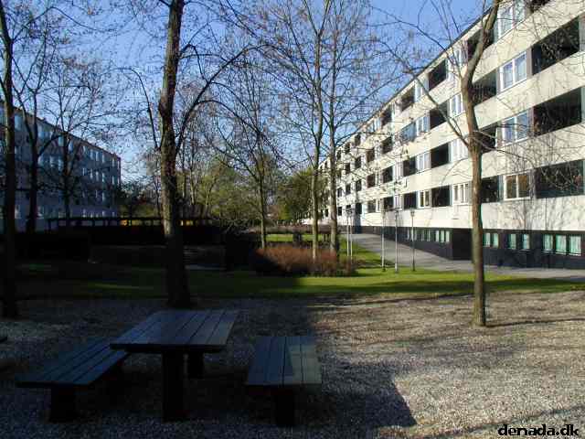 * Image 3