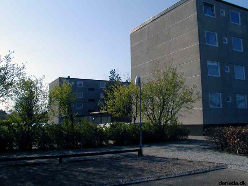 * Image 2