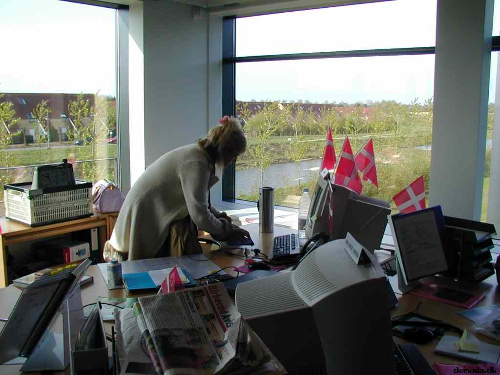 * Image 1