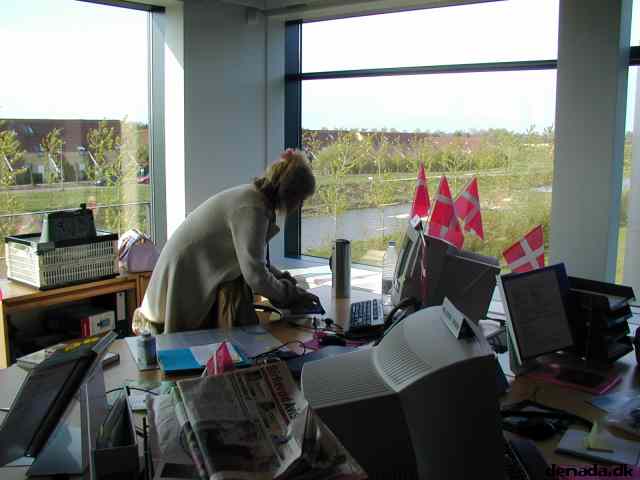 * Image 1