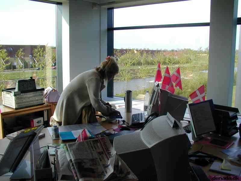 * Image 1