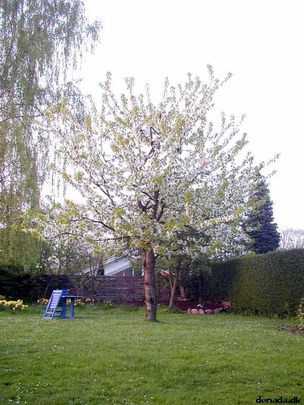 * Image 2