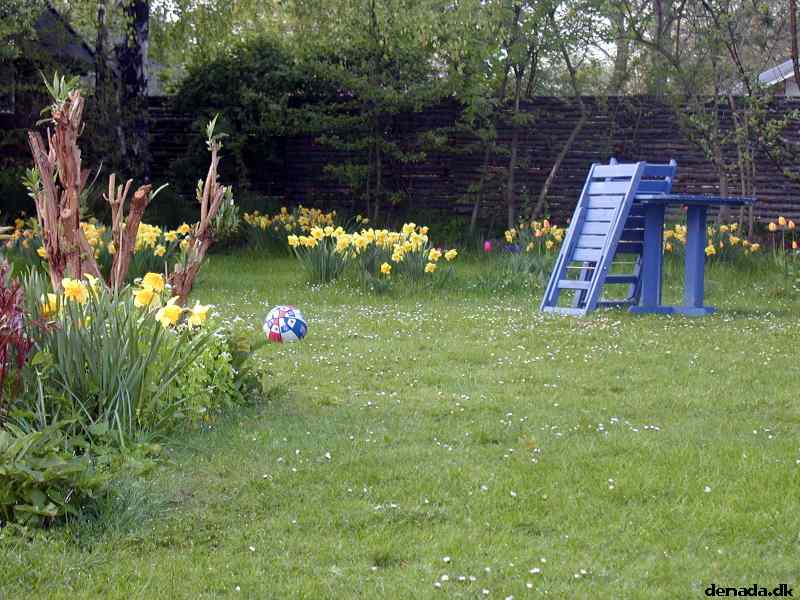 * Image 3