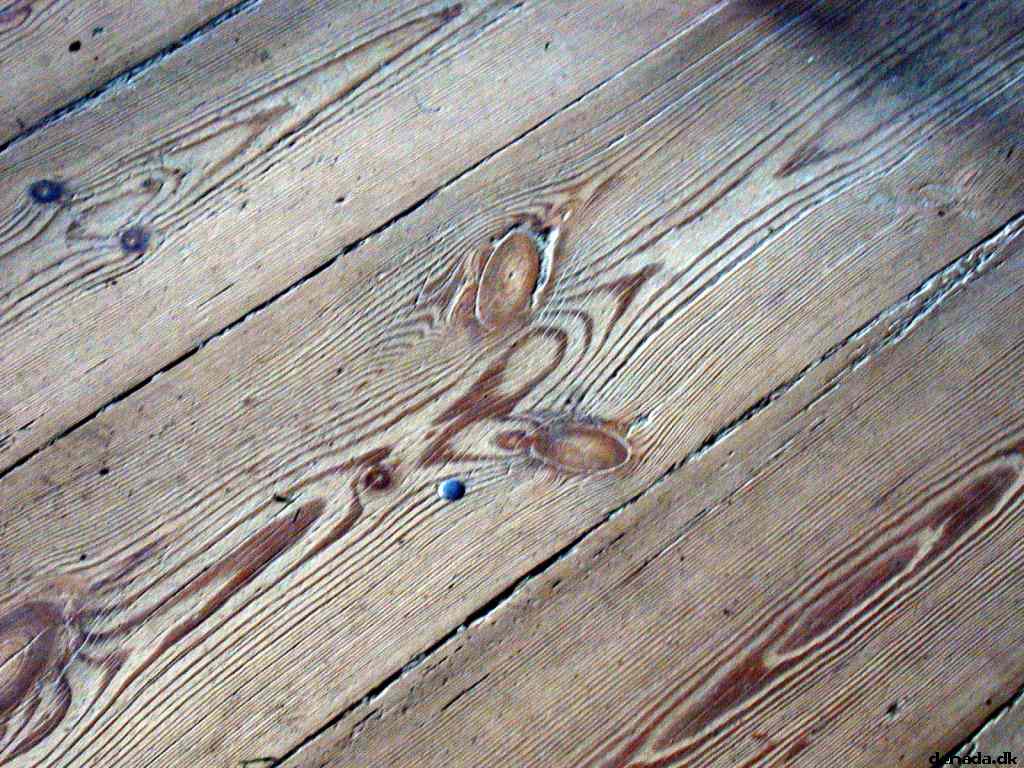 * Image 7