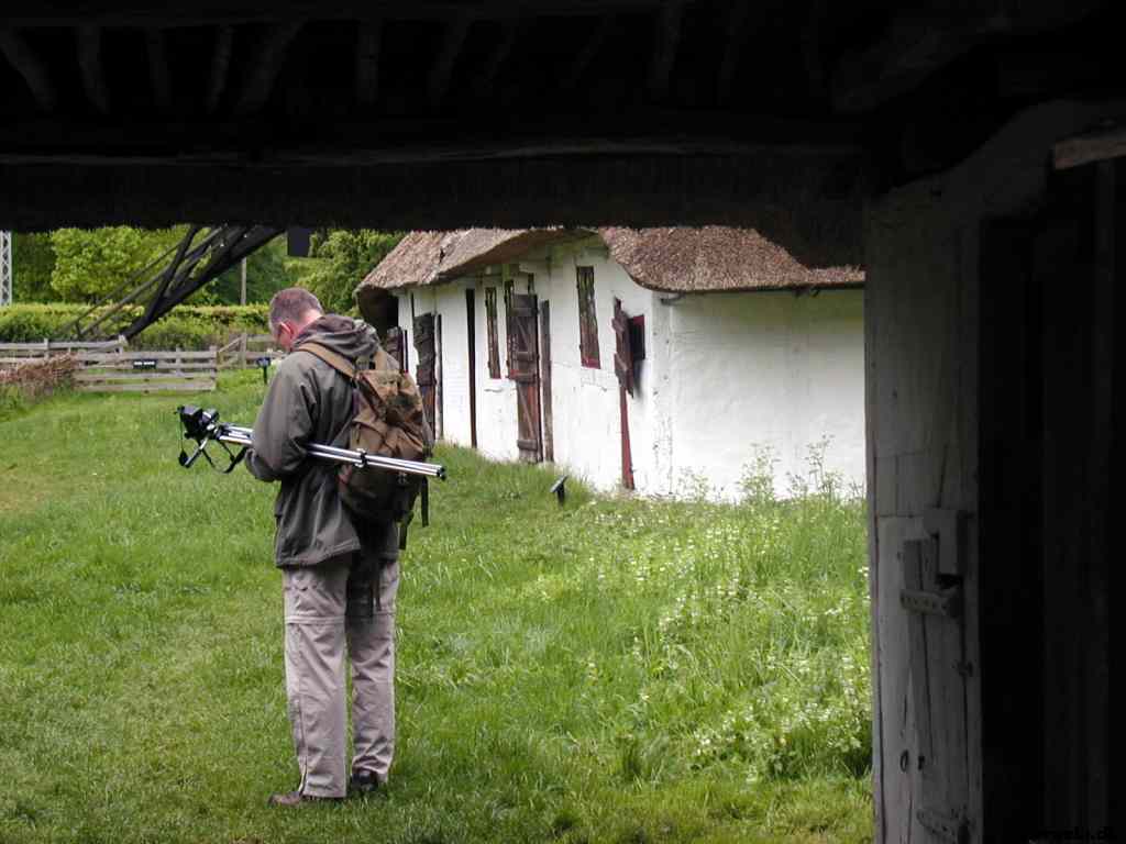 * Image 8