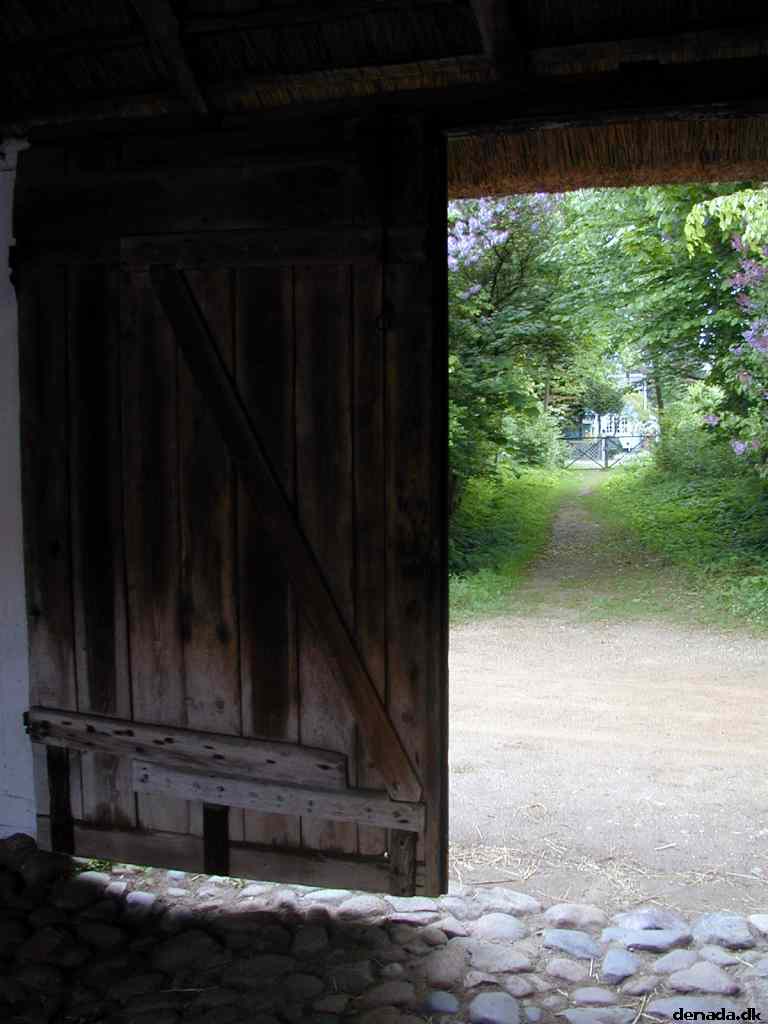 * Image 12