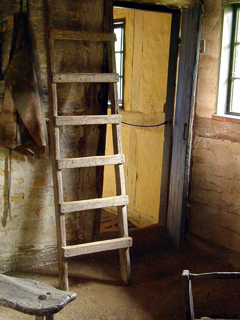 * Image 18