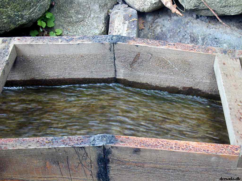 * Image 25
