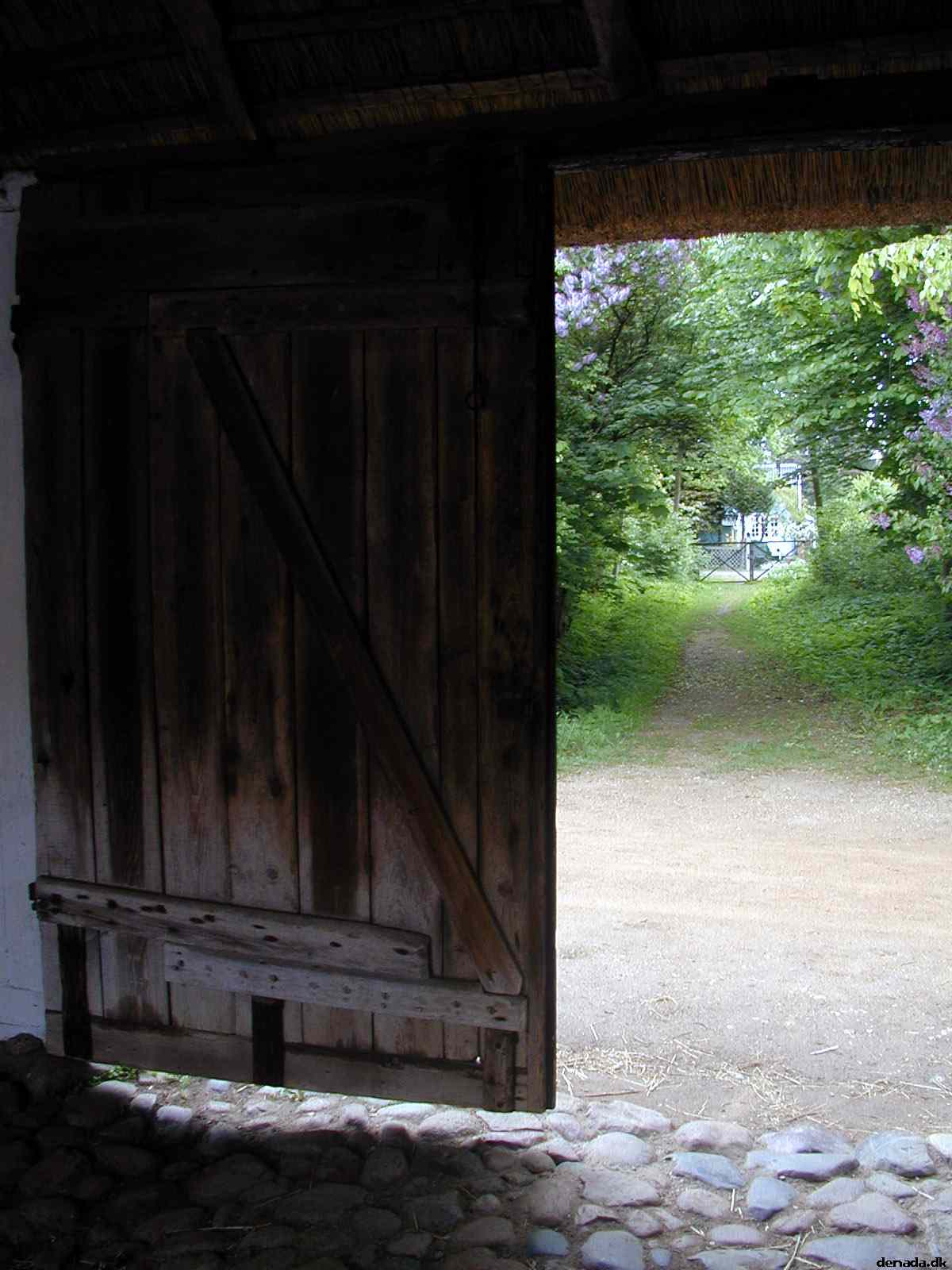 * Image 12